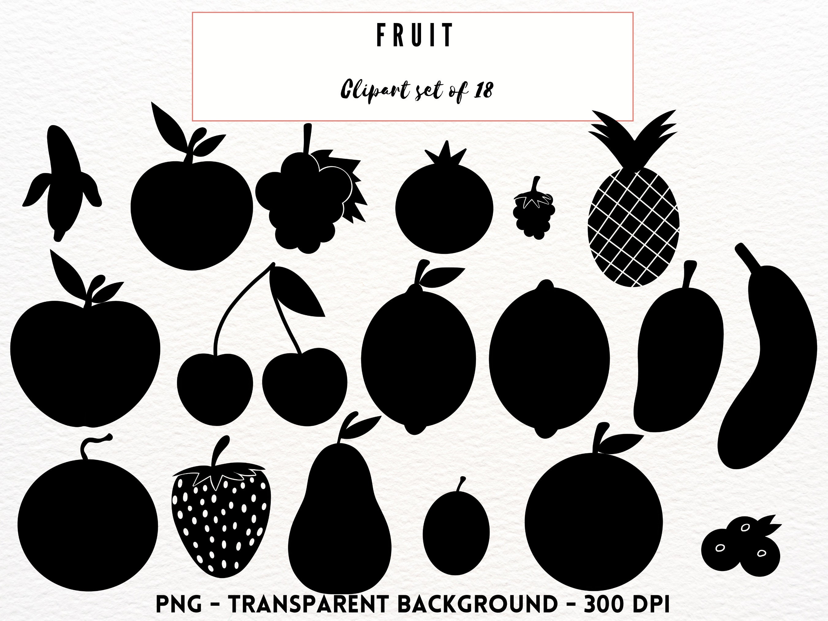 Large Fruit Tree Stencil Reusable Wall Stencils for DIY 