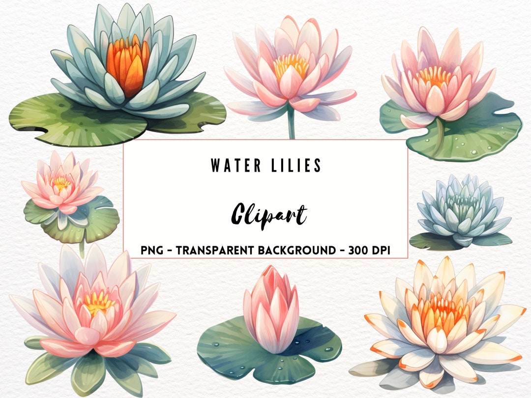 Flowers Clipart Water Lily Watercolor Water Lily PNG Clipart - Etsy