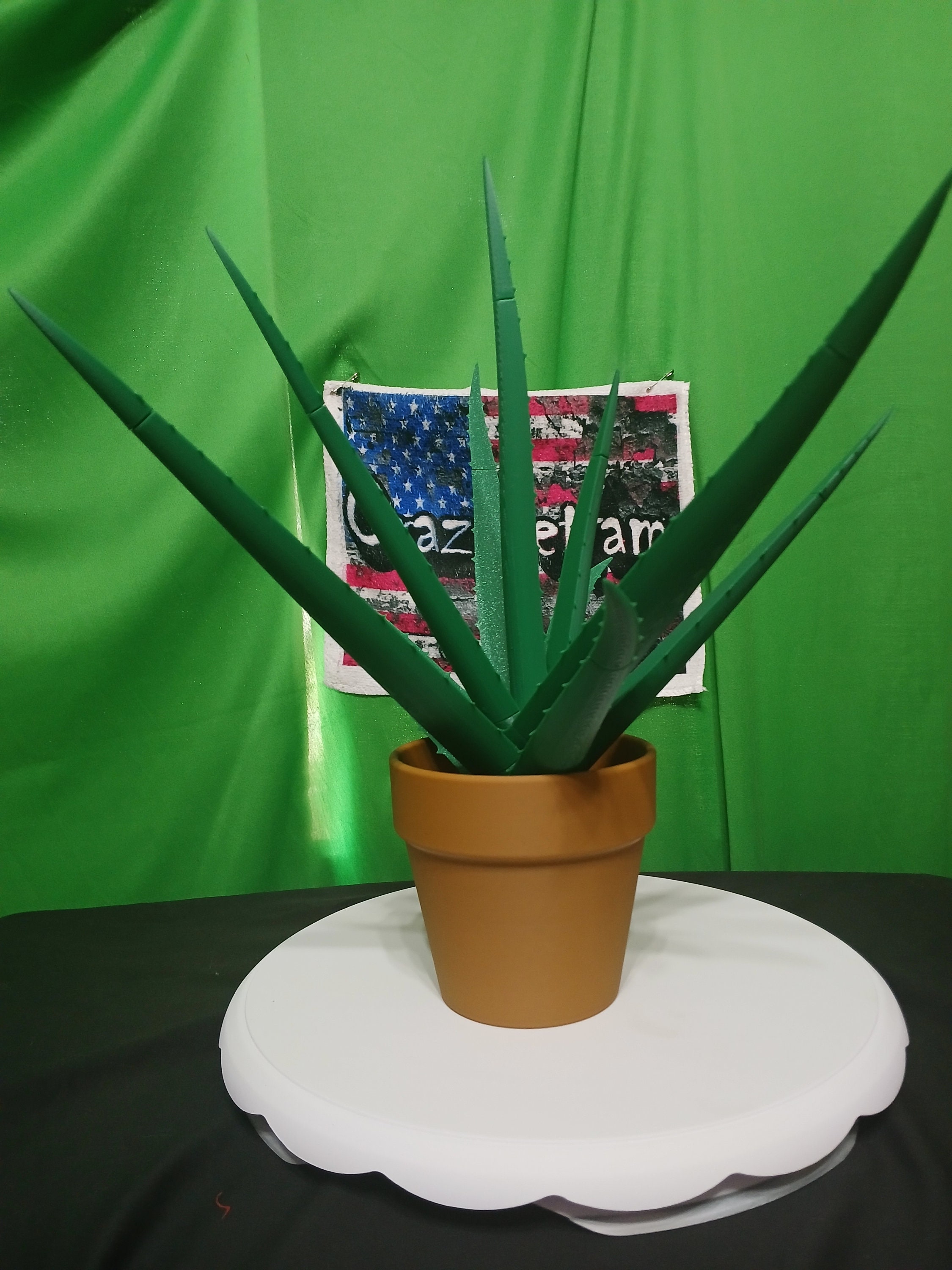 Aloe Vera Decor - Etsy