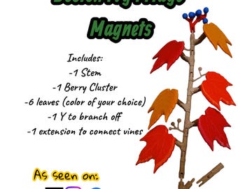 Boston Ivy Fridge Magnet Set: Customizable Vine Decor