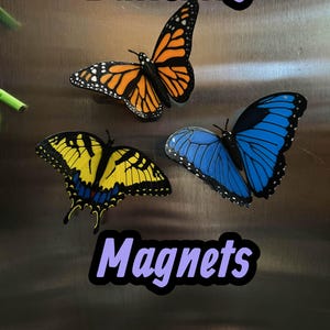 May include: Three butterfly magnets in orange, yellow, and blue are displayed. The orange butterfly has black accents, the yellow butterfly has blue accents, and the blue butterfly has white accents. The word "Butterfly" is above the butterflies and the word "Magnets" is below.