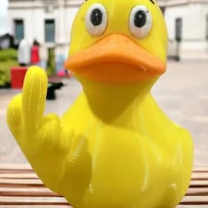 3d printed flip off duck | Veteran Made
