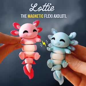 Puede incluir: Dos juguetes magnéticos y flexibles de ajolote. Uno es rosa con branquias y cola rojas, el otro es azul claro con branquias y cola translúcidas. Los juguetes están conectados por un rayo y el texto dice "Lottie THE MAGNETIC FLEXI AXOLOTL."