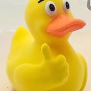 3d printed Thumbs up duck | Veteran Made