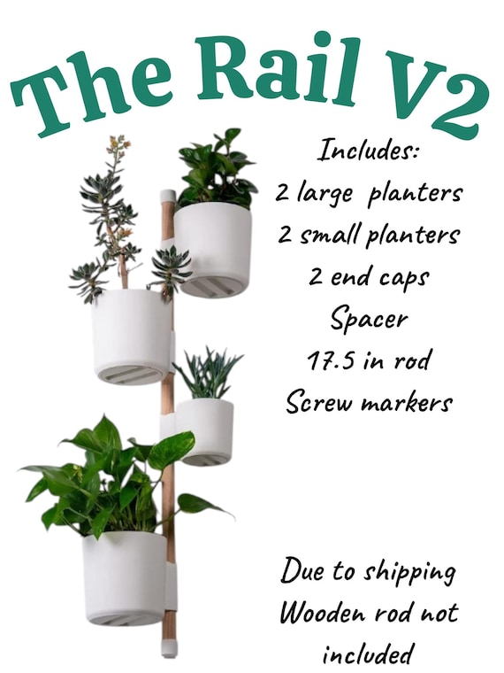 buy fiddle leaf fig The Sill Fiddle Leaf Fig Houseplants, Medium in Cream