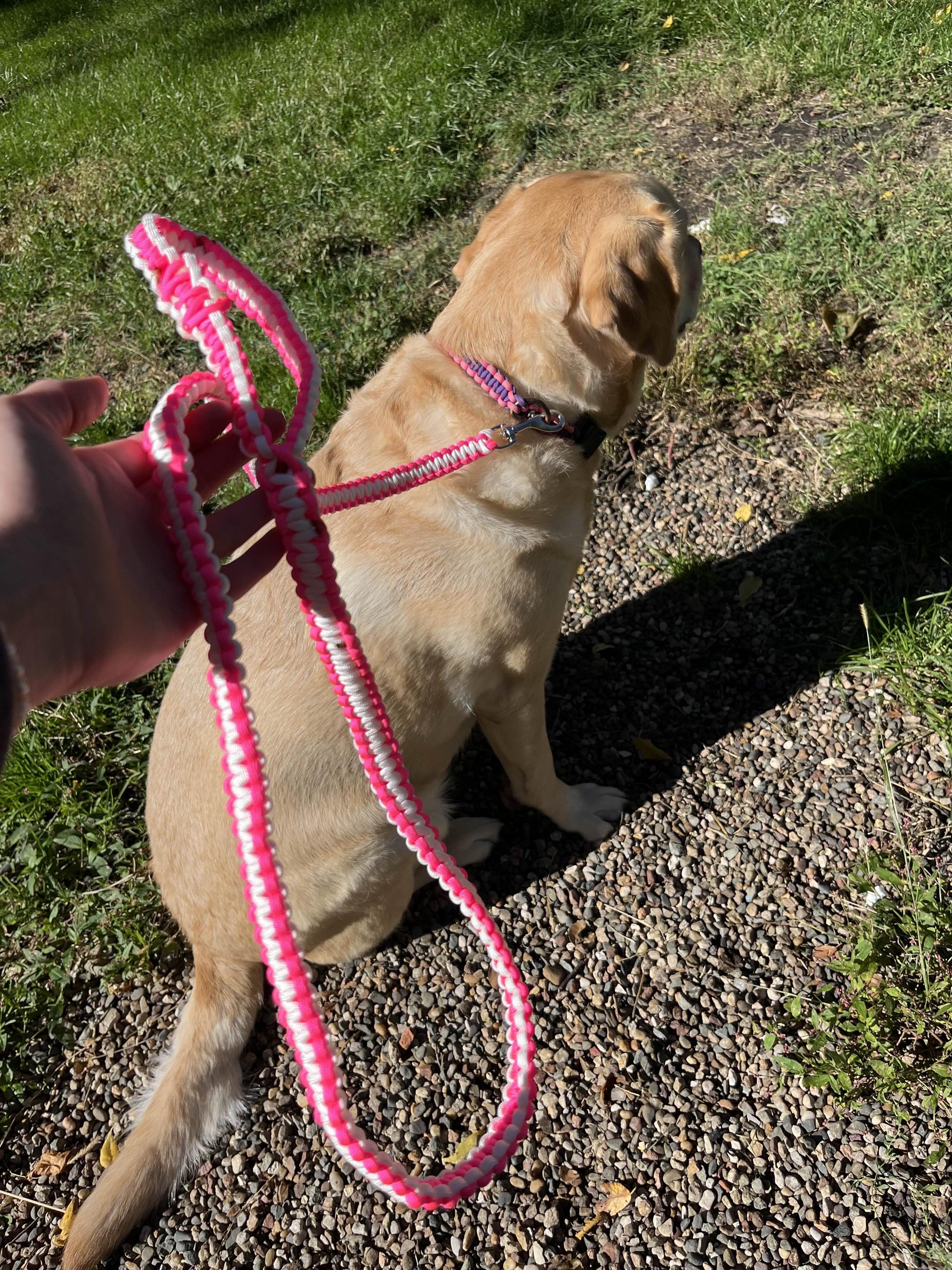 Guinzaglio A Redine In Cuoio Rosso - Foto 8