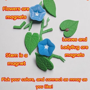 Morning Glory Magnet Vine | Customizable |Veteran Made | Fridge Magnet | Forgecore