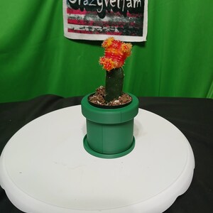 May include: A small orange and green cactus plant in a green plastic pot shaped like a Super Mario Bros. pipe. The pot is sitting on a white round surface.