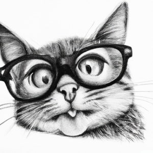 Gatito Derpy
