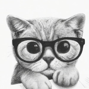 Un gatito serio con gafas