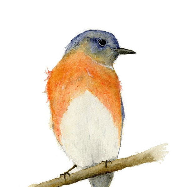 Eastern Bluebird Watercolor Art Print, 5x7 Matted Print, Garden Wall Decor, Spring Art, Bird Watcher Gift, Gift for Her