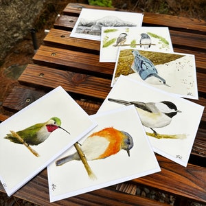 Ensemble de cartes d'oiseau aquarelle, ensemble de 6 avec enveloppes, blanc à l'intérieur, oeuvre originale