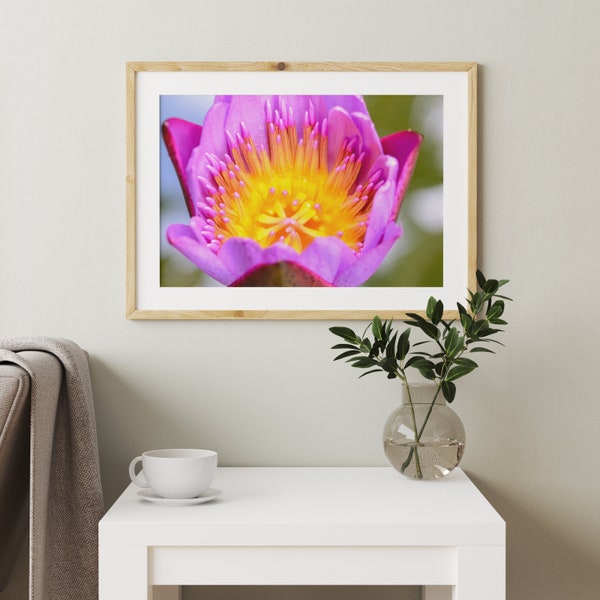 Water Lily flower print