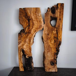 2 Piece Turkish Olive Root Burl Wood – Natural Slab for Epoxy, Resin Art, and Decoration – Rustic Live Edge Burl for Woodworking & Crafts