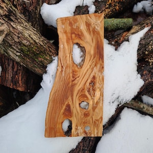 Turkish Olive Root Burl Wood – Unique Natural Slab for Epoxy, Resin Art, and Decoration – Rustic Live Edge Burl for Woodworking & Crafts