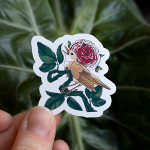 De nachtegaal en de rozenstickers || sprookje || bevroren