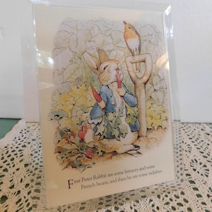 May include: A clear acrylic frame containing a printed illustration of Peter Rabbit in a blue jacket eating a carrot in a garden with a bird perched on a shovel. The text reads: First Peter Rabbit ate some lettuces and some French beans; and then he ate some radishes.