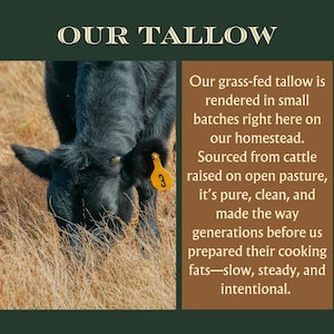 May include: Image features a black cow grazing in a field, with the text "OUR TALLOW" at the top. A text box on the right describes the tallow as grass-fed, rendered in small batches, and sourced from cattle raised on open pasture.