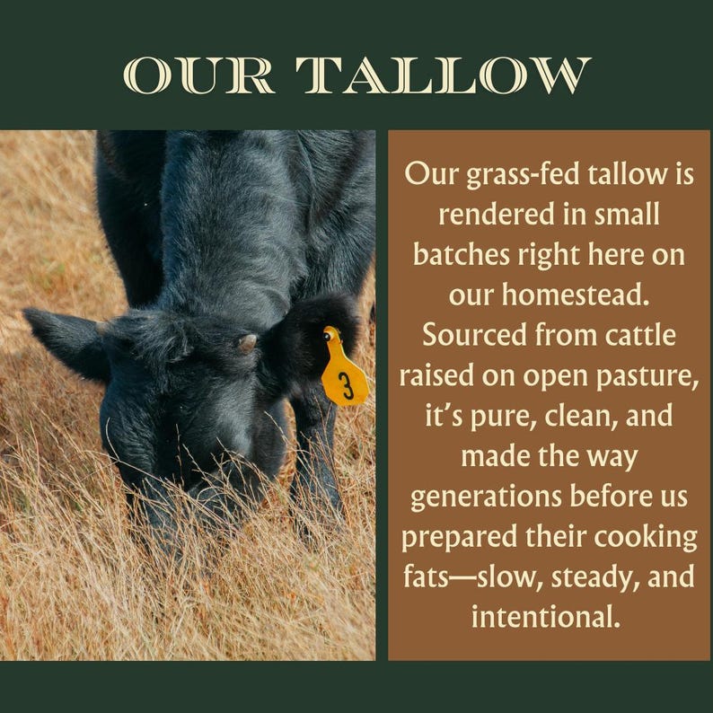 May include: Image features a black cow grazing in a field, with the text "OUR TALLOW" at the top. A text box on the right describes the tallow as grass-fed, rendered in small batches, and sourced from cattle raised on open pasture.