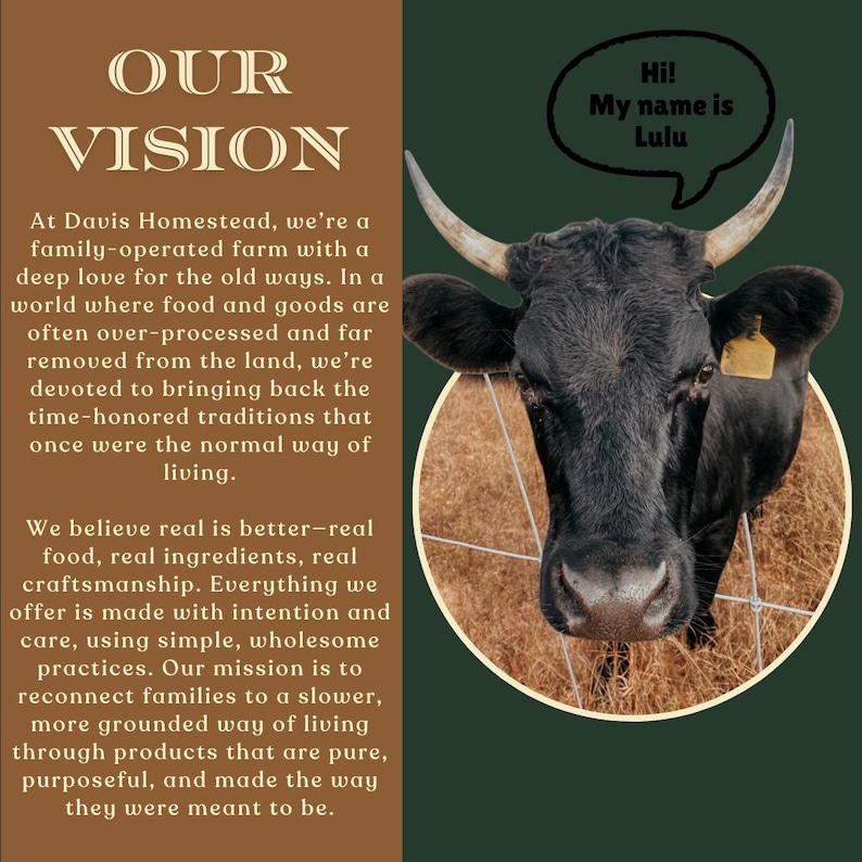 May include: An image featuring a black cow named Lulu, with a speech bubble saying "Hi! My name is Lulu." The image also includes text about Davis Homestead, a family-operated farm focused on traditional practices and wholesome products.