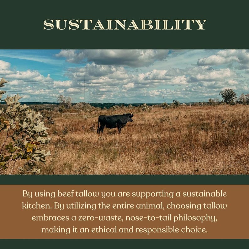 May include: An image with the word "SUSTAINABILITY" at the top. A black cow stands in a field of dry grass under a cloudy sky. Text below states that using beef tallow supports a sustainable kitchen.