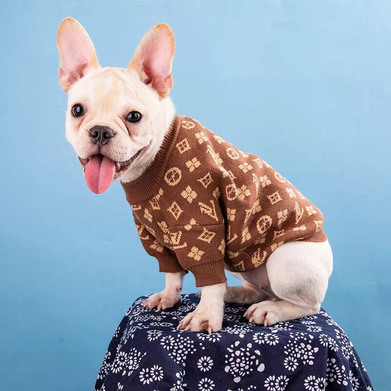 designer dog outfit