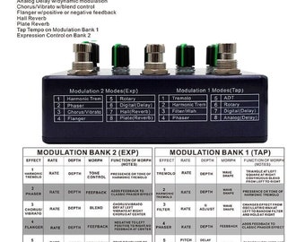 Demonfx DUAL MOD WORKSTATION Guitar Effect Pedal Numerous Options