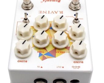 Demonfx RAVINE Reverb Delay Numerous Set Options Guitar Effect