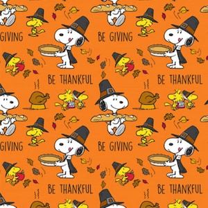 peanuts charlie brown snoopy woodstock pilgrim thanksgiving turkey han –  Dez Designs