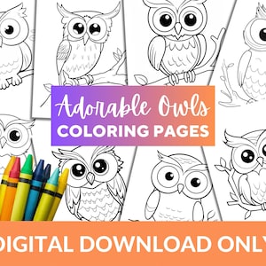 Owl Coloring Pages, Printable Owl Coloring Page, Birthday Party, Home School Bundle Set, Children Activities, Preschool Owls Coloring Book