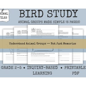 Può includere: Un PDF stampabile intitolato "Bird Study" con il testo "Animal Groups Made Simple (6 Pages)". Il design presenta una pila di fogli con le parole "Animal Files" e la frase "Understand Animal Groups - Not Just Memorize".