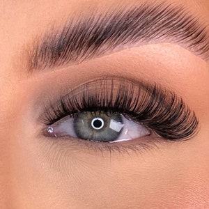 lash