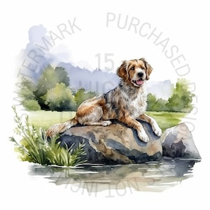 Chien assis sur un Rock Clipart Bundle, 15 JPG de haute qualité, Clipart de chiens mignons, Rock Clipart, River Clipart Bundle, usage Commercial