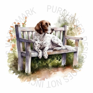 Chien reposant sur un banc Clipart Bundle, 15 JPG de haute qualité, Clipart chiens mignons, Banc Clipart, Bundle Clipart jardin, usage Commercial