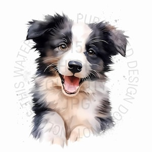 Border Collie Puppy Clipart - 17 JPG de alta calidad - Cachorro, Imágenes Prediseñadas de perro, Descargas digitales - Fabricación de tarjetas, Imágenes Prediseñadas, Artesanía de papel digital