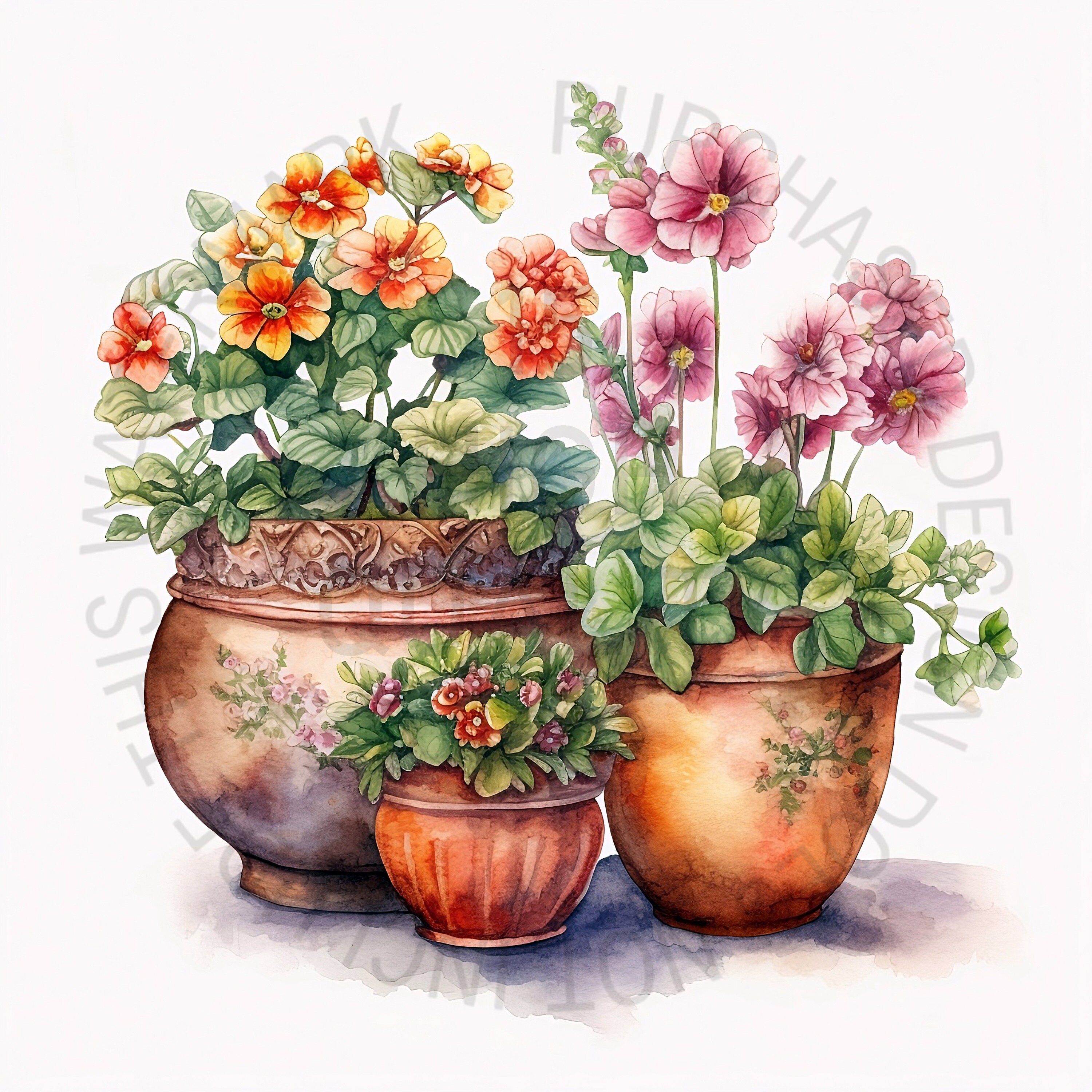 Beautiful Flower Pot Clipart Bundle, 15 High Quality Jpgs, Plant