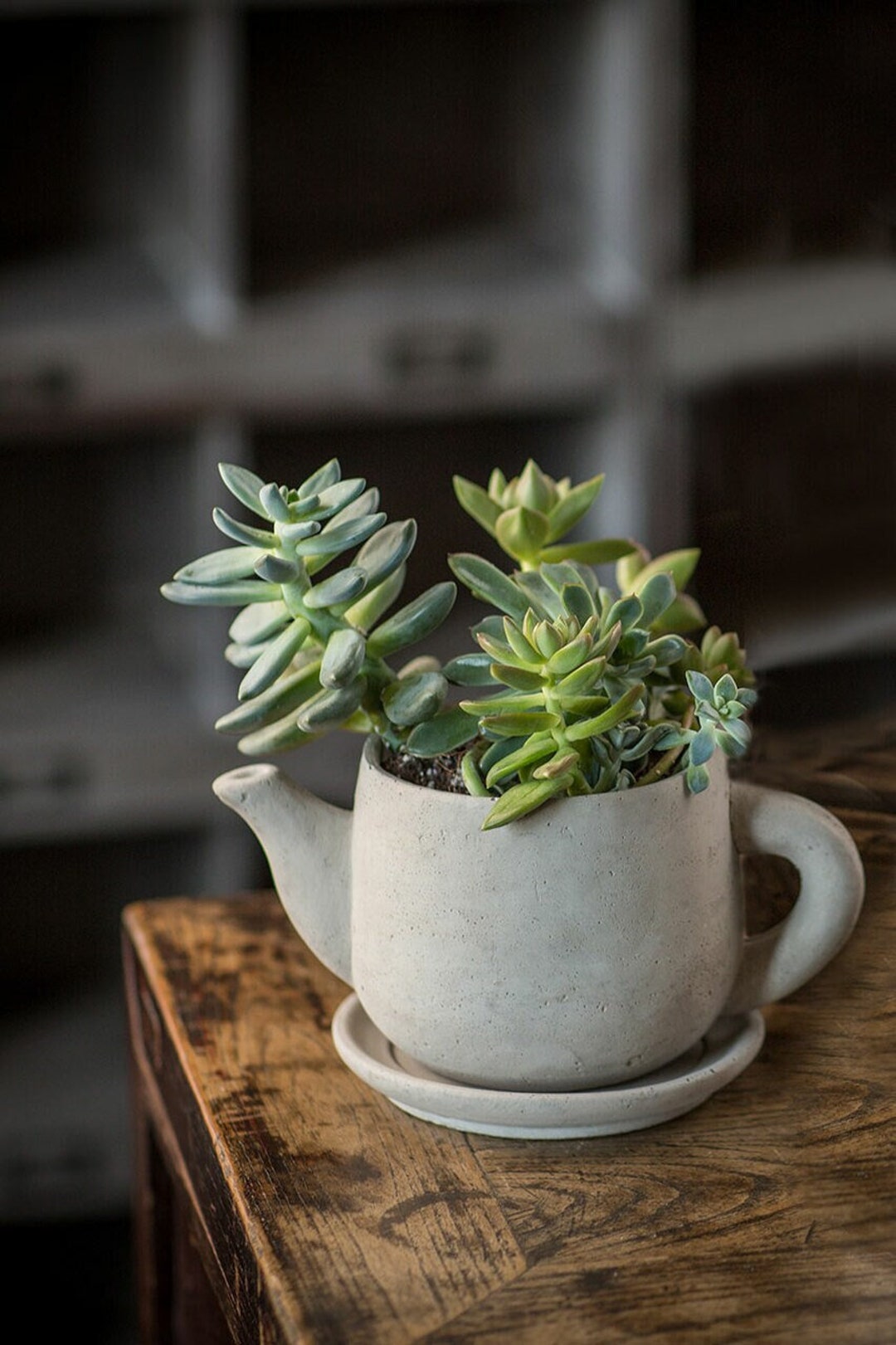 Concrete Teapot Planter Succulents Planter Pot Etsy