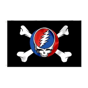 May include: Black flag featuring a white skull with a red and blue circle design and a lightning bolt, crossed by two white bones. The flag is rectangular and has a black background.