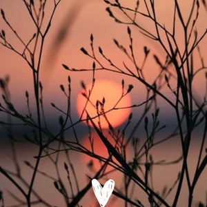 May include: Silhouette of branches against a sunset with the text "Live in the moment." and a white heart.