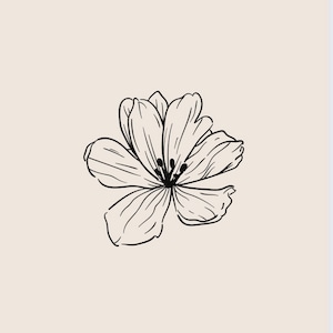 May include: A black and white line drawing of a single flower with five petals.