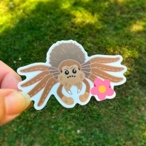 May include: A brown spider with a fuzzy head and eight legs is holding a pink flower with a yellow center. The spider is cartoon-style and has a friendly expression.