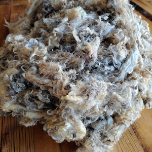 Wensleydale/Teeswater Fleece