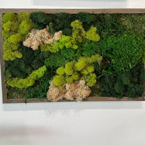 Preserved Moss Wall Art in Wooden Frame