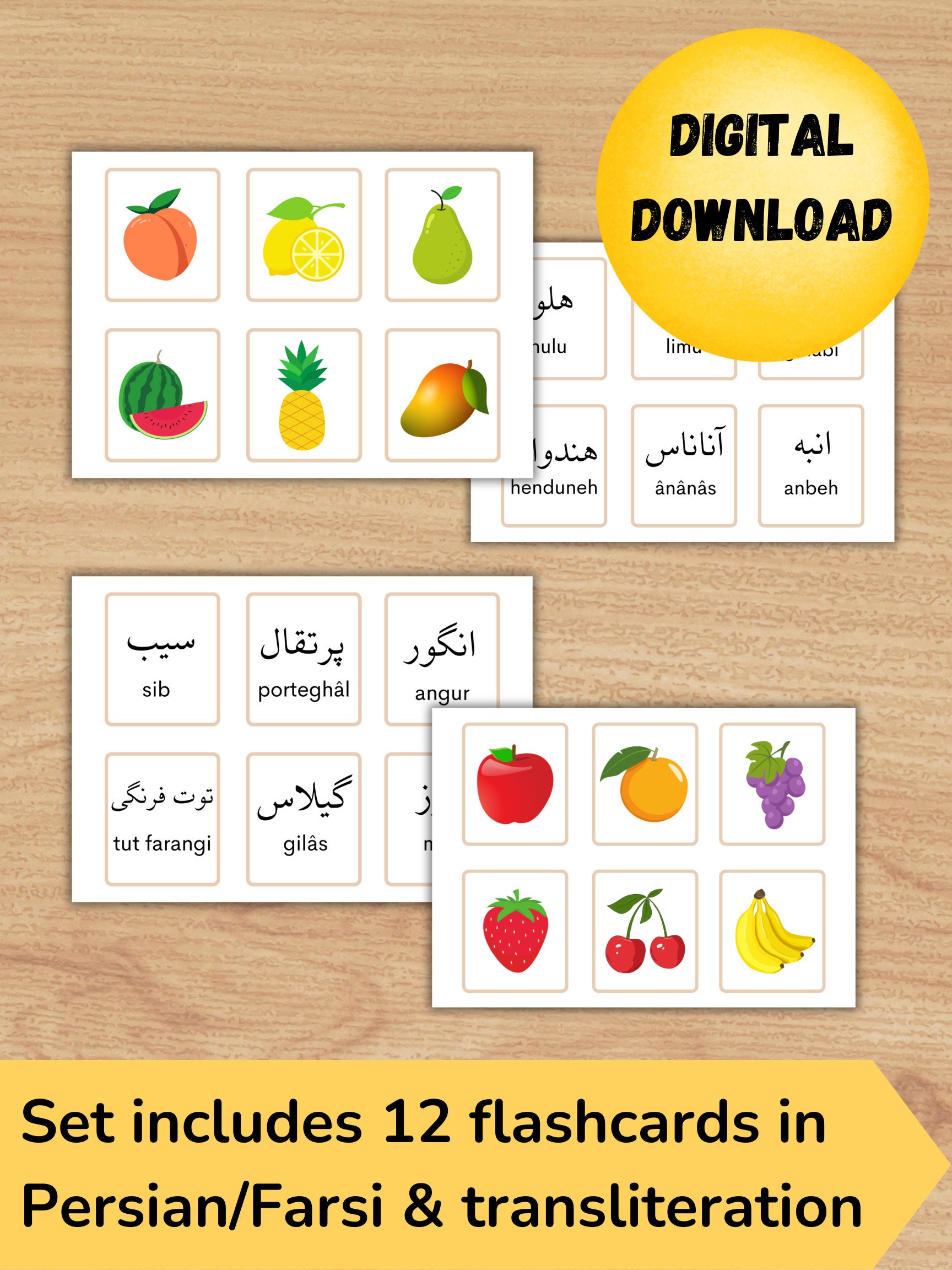Persian Farsi Vocabulary Flashcard and Worksheet Bundle Etsy