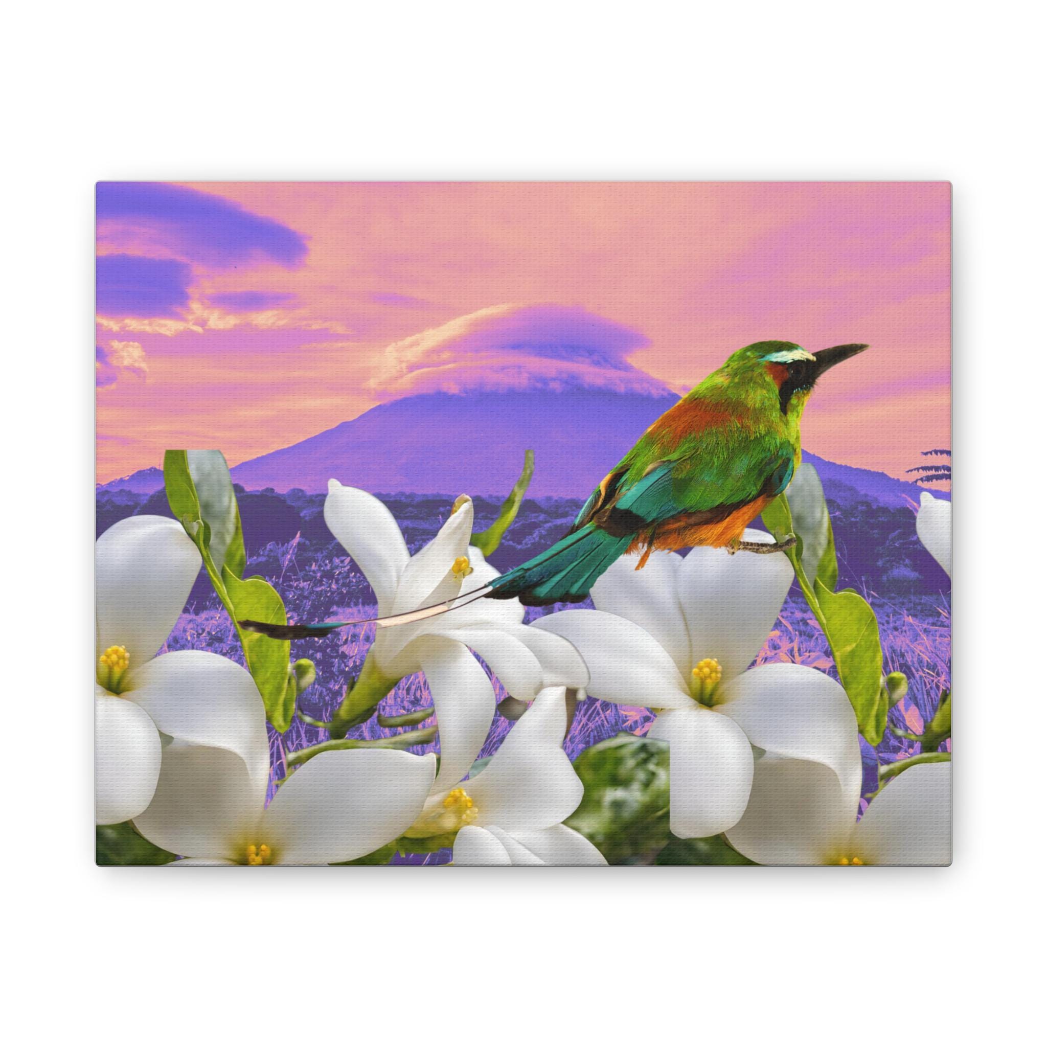 ニカラグア ソレンチナメ絵画 ② Nicaragua Bird - Etsy