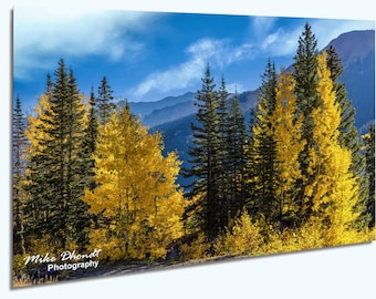 Sztuka ścienna "Million Dollar Highway Aspens in the Red Mountains" w Kolorado