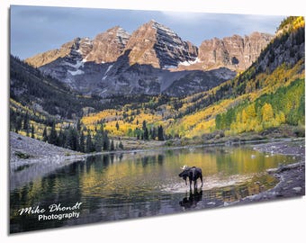 Maroon Bells Moose Colorado Landscape Photography, Aspen Fall Colors Mountain Wall Art Print