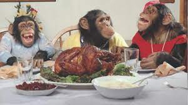 May include: Three chimpanzees dressed in festive attire are seated at a table with a roasted turkey, mashed potatoes, and cranberry sauce. The chimpanzees are smiling and appear to be enjoying their meal.