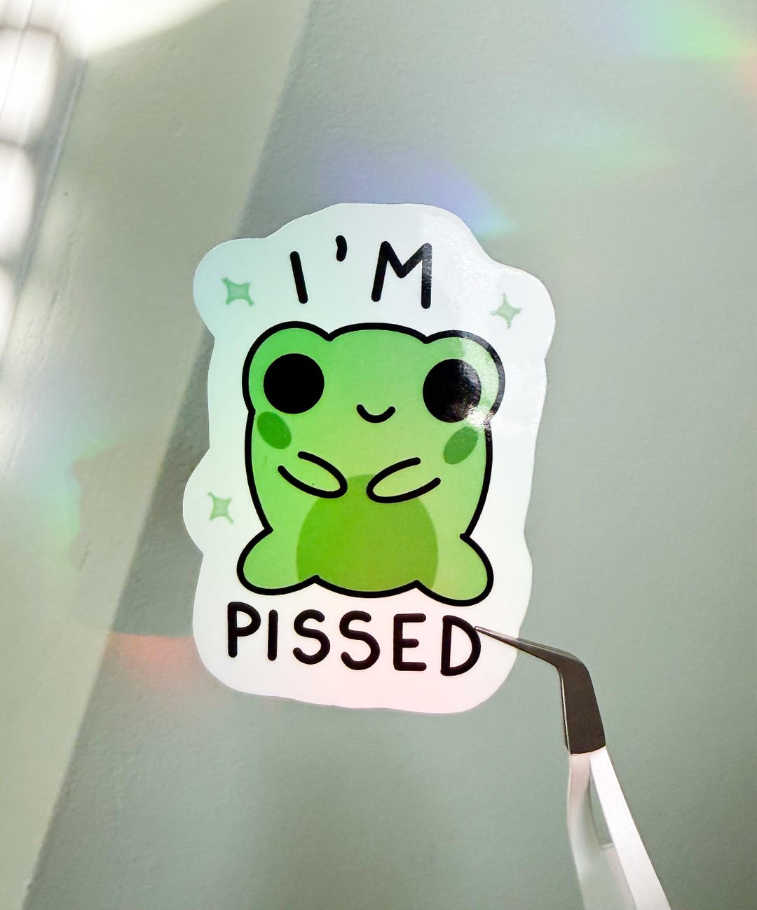 Angry Frog Sticker – Waterproof Vinyl Decal, Funny Stickers - Etsy