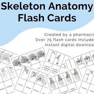 Download digitale stampabile di schede flash del sistema scheletrico, preparazione ai test della scuola di medicina, guida allo studio infermieristico, flashcard di anatomia, preparazione all'esame di fisiologia
